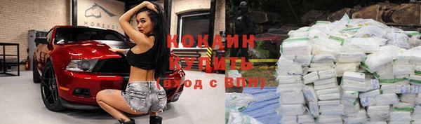 spice Няндома