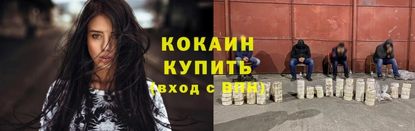spice Няндома